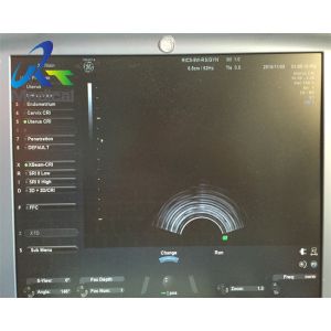 Women's Health Ultrasound Transducer Probe GE RIC5-9W-RS