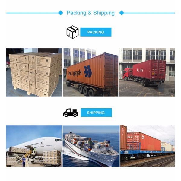 High Quality Zipper Polyester School Bags Online