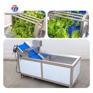 Vegetables bubble washing machine Wash Washer Washing Cleaning processing