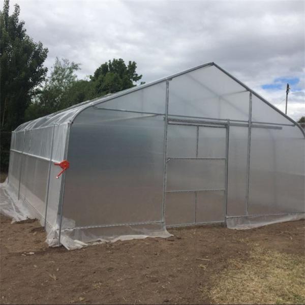 Buy Plastic Film High Tunnel Single Span Greenhouse Steel Frame 9x30m at wholesale prices