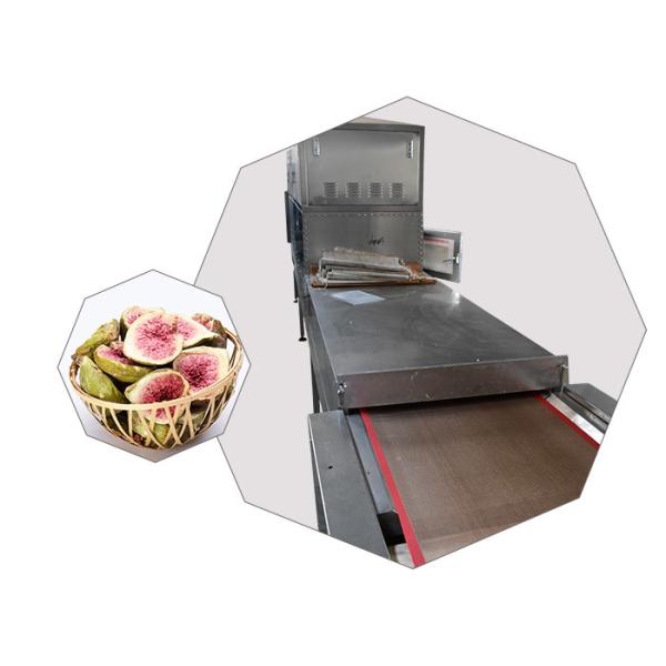 Buy Conveyor Belt Microwave Sterilization Vegetable Dryer Machine Convenient Operation at wholesale prices