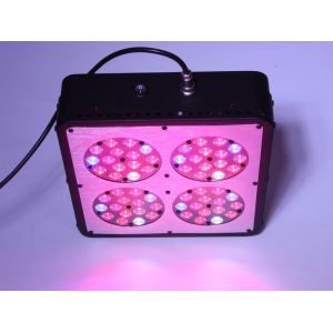 Quality 180w Apollo 4 LED Grow Light ,full spectrum 660nm 630nm 460nm 440nm 730nm 3000k for plant for sale