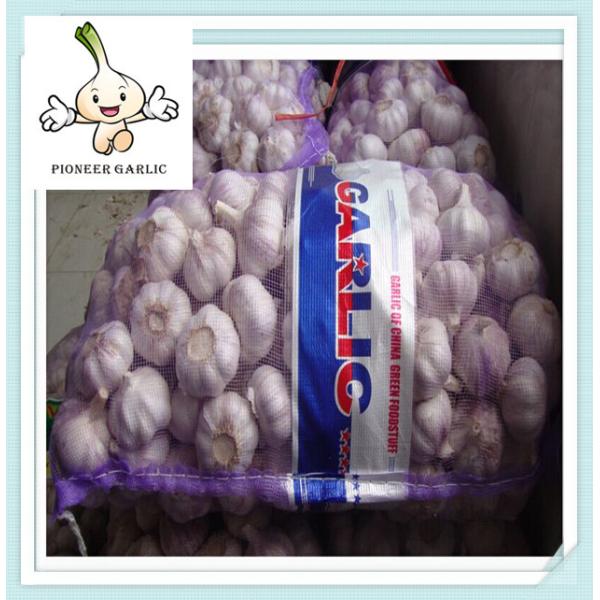 Buy Hot selling garlic High Quality garlic Fresh Garlic 2016 at wholesale prices