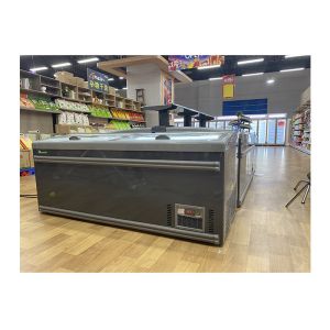 Deep Freezer Cabinet 630L Commercial Display Freezer Automatic Defrost System