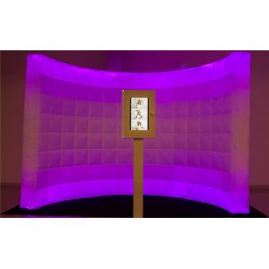 Commercial Party Wedding Large Inflatable Photo Wall With LED Light