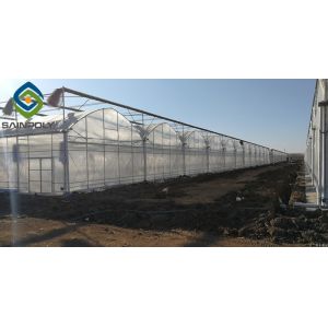 China 10m Span PE Plastic Shed Film Greenhouses For Agriculture on sale