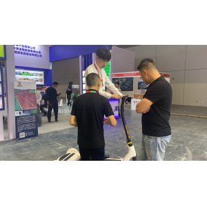 36V Electric E Scooter