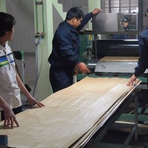 Straight Zebra Reconstituted Wood Veneer Indoor Decorative Board 2500mm ZB-114S