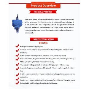 Customized 304/316L Pressure Sensors for Tank Water Oil and Liquid Level
