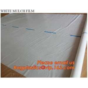 Agricultural Mulching Film Used for Fruit, Flower and Vegetable