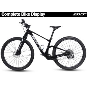 No Foldable Complete Mountain Bikes 11Speed 29er Disc Brake Carbon Fiber MTB