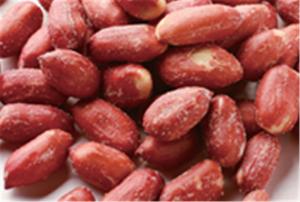 Quality Beer Nuts Big Red Candy Coated Peanuts Kernel Various Taste HALAL Certifiaction for sale