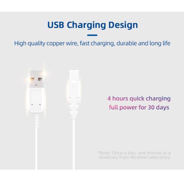 300ml Cordless Water Flosser 2pcs Nozzles