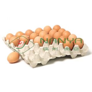 Automatic Pulp Molding Equipment / Rotary Recycle Paper Egg Tray Manufacturing
