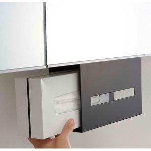 Quality Modern Hanging Tissue Case for Under Cabinet Tissue Cover Standard Size Mold Fee Free for sale