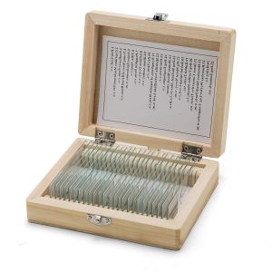 High Quality Hot Sale Human Histology 25pcs Biology Microscope Glass Slides For