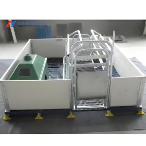 Piggery Equipment Automatic Pig Feeder Stainless Steel Pigs Feeding Trough