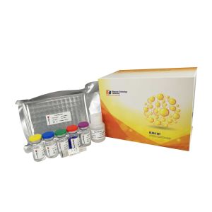 ELISA Kit for Human High Sensitivity and Specificity AD