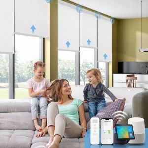 Sunshade Perspective Roller Blinds Fabric Solar Sunscreen Roller Blind Fabric