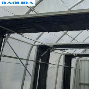 Agricultural PE Automated Blackout Greenhouse / Plastic Film Greenhouse