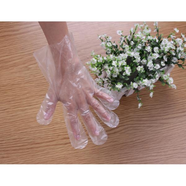 Cleaning Disposable Plastic Gloves Prepare Food Decorating Powder Free Clear Examination Vinyl Gloves