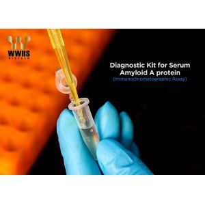 Inflammation Disease SAA Serum Amyloid A Test Kit POCT Assay