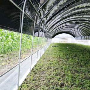 Custom Blackout Light Deprivation Greenhouse with Automated Shading System for