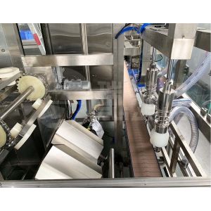 450BPH 3 Gal 11L Auto Drinking Water Filling Machine