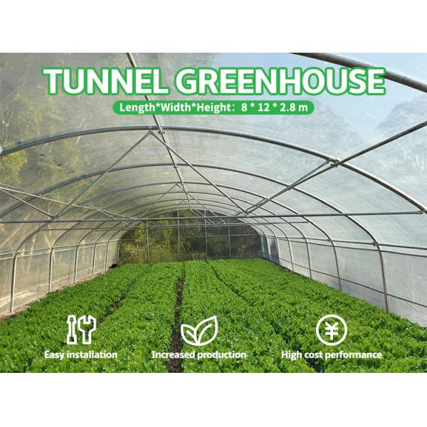 PE Film Greenhouse Frame Structure Ventilated Serre Agricole Greenhouse