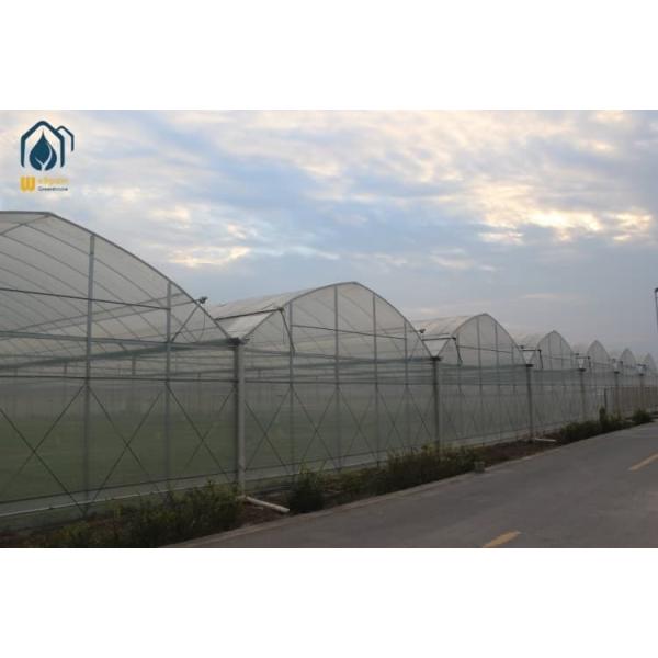 Buy Herb Greenhouse Multi Span Indoor Green House For Year Round Cultivation at wholesale prices