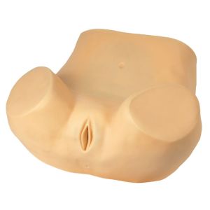 Quality Advanced female troso with pelvis gynecologic simulator viginal examination for sale