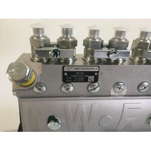 3973198 114KW Diesel Dongfeng 6bt Fuel Injection Pump