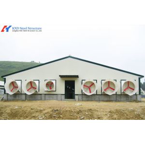 Commercial Poultry House Steel Structure with Feeding and Drinking Systems