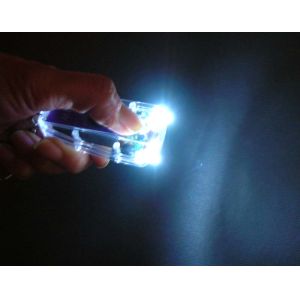 Solar keychain light