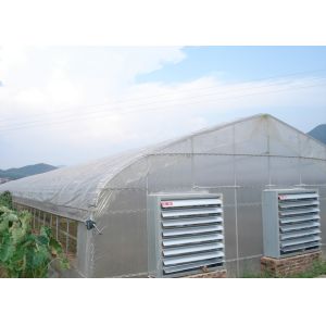 Smart Industrial Multi Span Greenhouse For Vegetable Growing