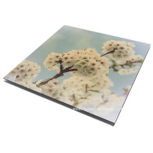 UV Resistant Signage Aluminum Composite Panel , 2000mm ACM Sign Board