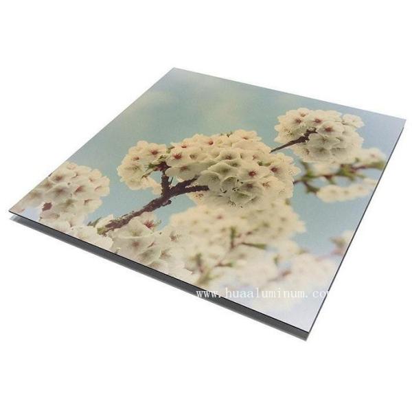 Buy UV Resistant Signage Aluminum Composite Panel , 2000mm ACM Sign Board at wholesale prices