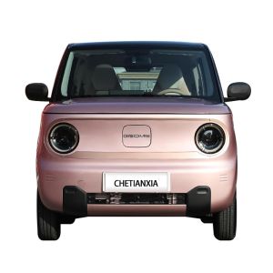 Automotive Used Mini EV Cars Electric Vehicles Geely Panda For Adult
