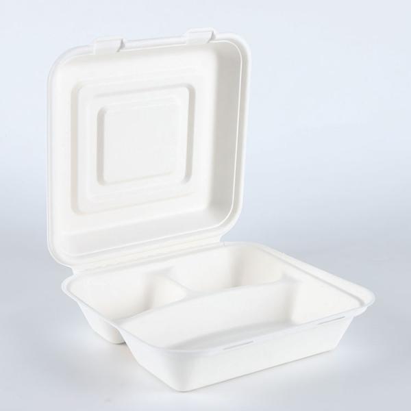 fast food container disposable bagasse plate with lid