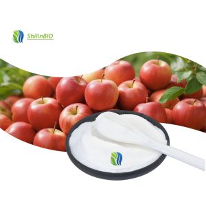 5% 10% Apple Extract Apple Cider Vinegar Powder