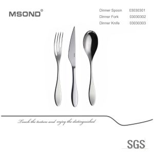 Non Redundant Exquisite SGS Stainless Steel Rust Proof Flatware Sets
