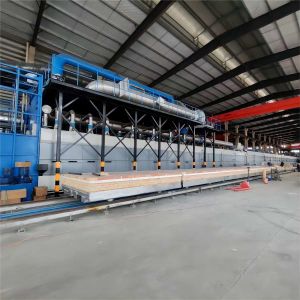 Nature Gas Tunnel Kiln For Brick Firing Process Customized Continuous Automatic