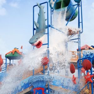 Commercial Fiberglass Water Slides Aqua Playground Of Interactive Water House