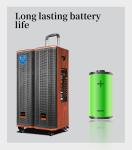 Wooden 80W Portable Trolley Speaker Customized 12V / 7Ah Battery With 2 Mic