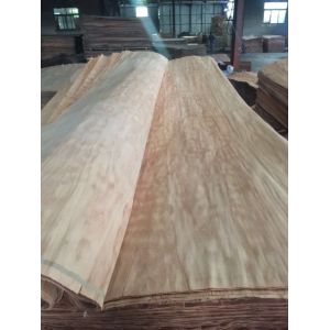 sell Dillenia face veneer