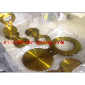 Stainless Steel 317 Blind Flange