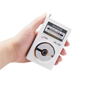 With Speaker portable AM FM radio super design private model DSP Chip