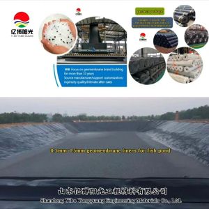 300micron to 1500micron HDPE Geomembrane Liners Ideal for Waterproof Fish Shrimp