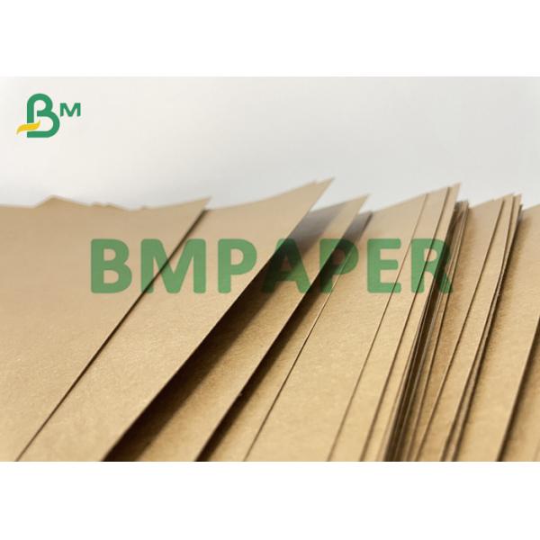 300gsm Oil-proof Single-side PE Coated Kraft Paper For To-go Boxes