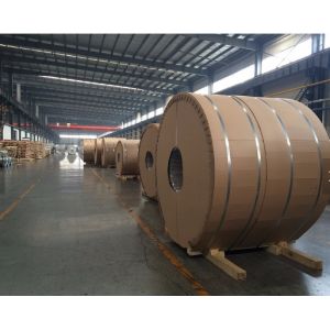 Painted PPAL 1060 3003 3004 5052 PVDF PE Prepainted Aluminum Coils Sheets Color